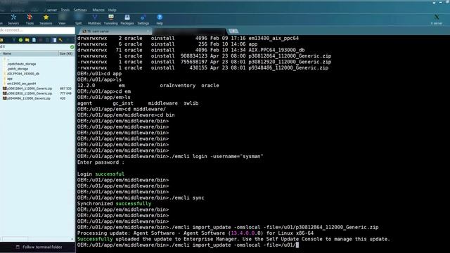install agent softwares for different platforms OEM13c - اوراكل بالعربى смотреть онлайн