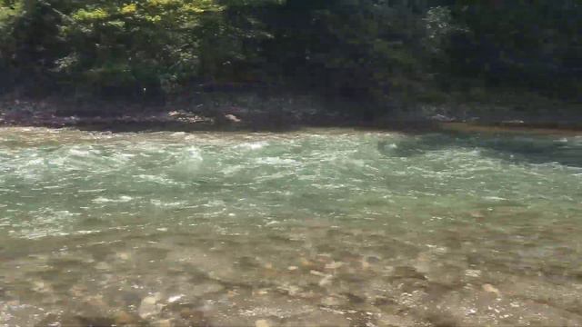 р.Пшеха экшн на сапах смотреть онлайн