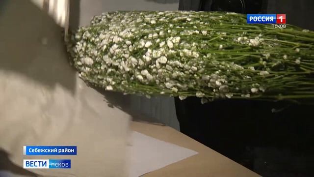 Откуда везут цветы в Россию, и как они проходят таможенный контроль? смотреть онлайн