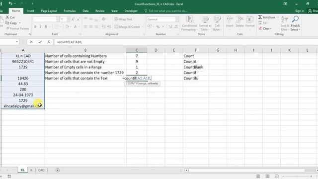 How to use Basic Count Functions in Excel (Use of Wild Cards) смотреть онлайн