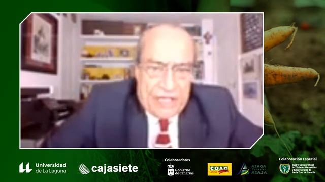 Master Class: Los retos del sector agroalimentario de Canarias frente al poder de la distribución смотреть онлайн