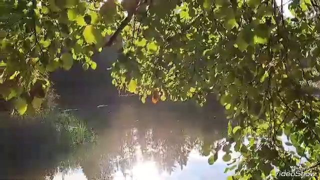 Влог - Прогулка по Таинственной тропинке в лесу. 😁😁😁🌲🌲🌲 Волшебное озеро. 💧💧💧 смотреть онлайн