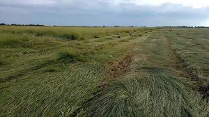 Казахстанский Косилка 3 бруска супер.