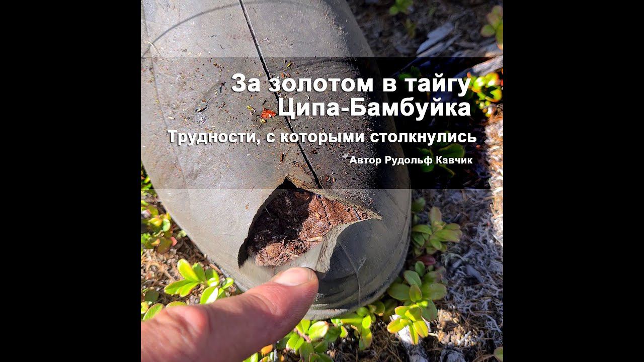 За золотом в тайгу. Ципа-Бамбуйка. Трудности, заброска, снаряжение, продукты, встреча с местными смотреть онлайн