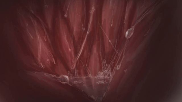 [F4A] Inside A Pred's Tummy Audio (Vore ASMR - Female Pred, Burps, Stomach Growls, Heartbeat) смотреть онлайн