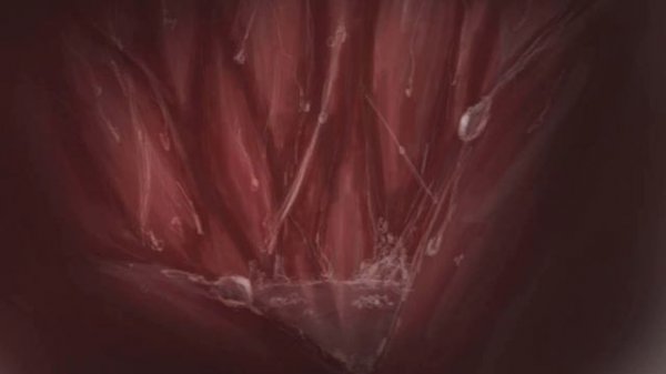 [F4A] Inside A Pred's Tummy Audio (Vore ASMR - Female Pred, Burps, Stomach Growls, Heartbeat)