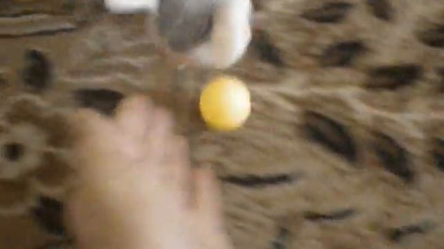 Сфинкс 3 месяца смотреть онлайн