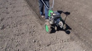 ПОСАДКА КАРТОФЕЛЯ МОТОКУЛЬТИВАТОРОМ CAIMAN 60 CD 2 пневмо