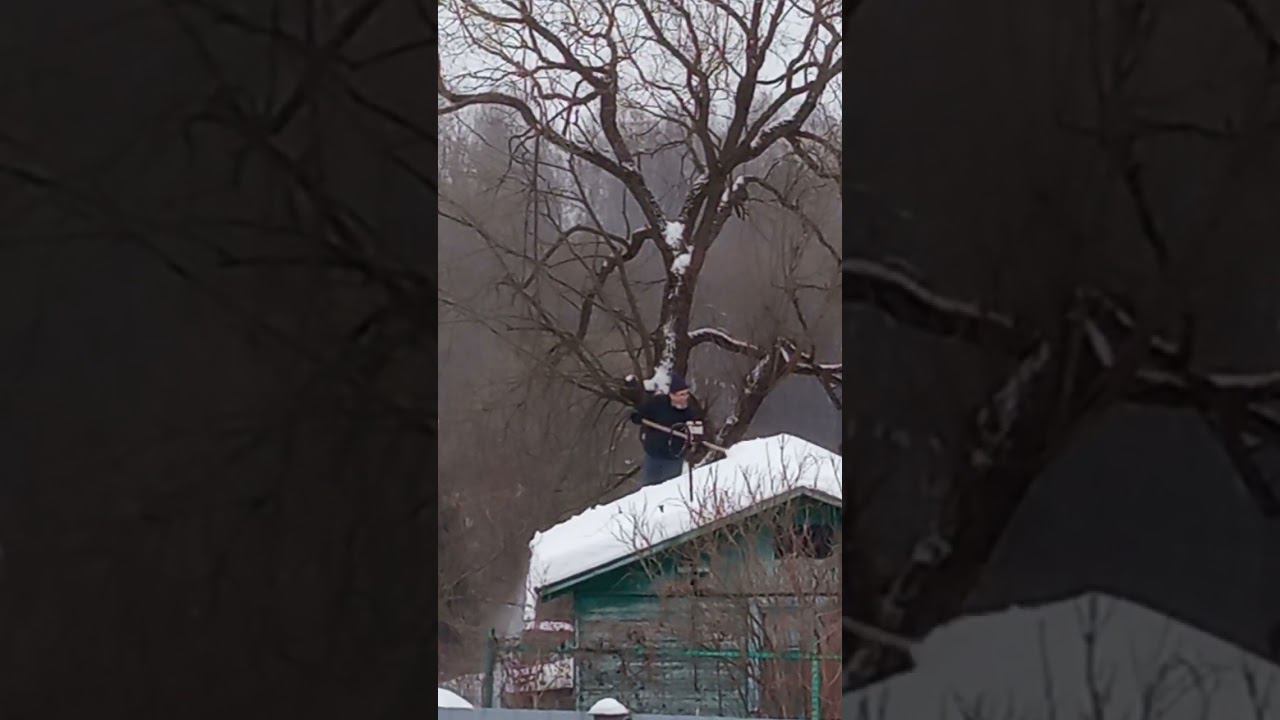 31 декабря 2021 г.