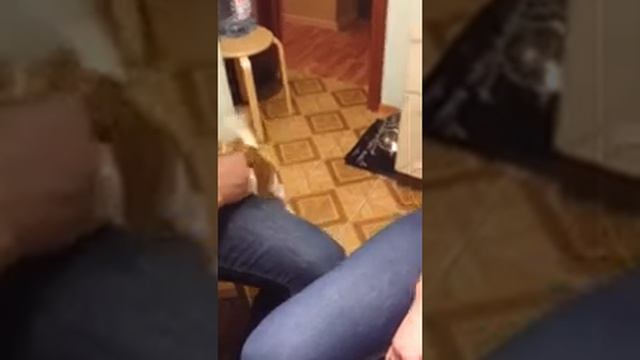 Денди Потрошитель смотреть онлайн