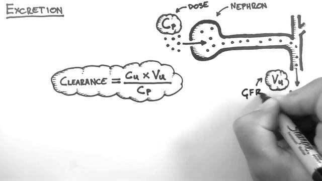 Pharmacokinetics. Excretion