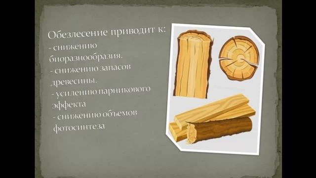Вырубка лесов! Презентация 26.02.13 смотреть онлайн