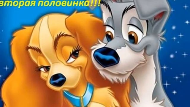 Посвящается моей любимой жене смотреть онлайн