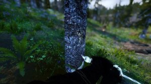 Лучшая сборка модов для слабых ПК в которой есть всё - Skyrim LE PMMP + модлист