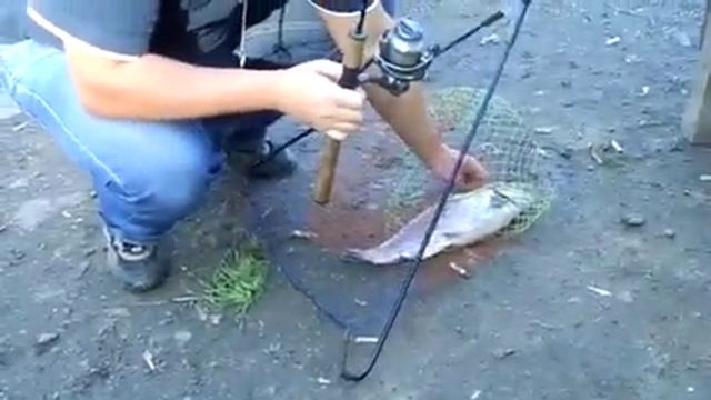 Форель на тимке смотреть онлайн