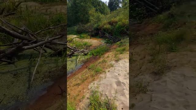 От жары пересохла р.Поля. смотреть онлайн