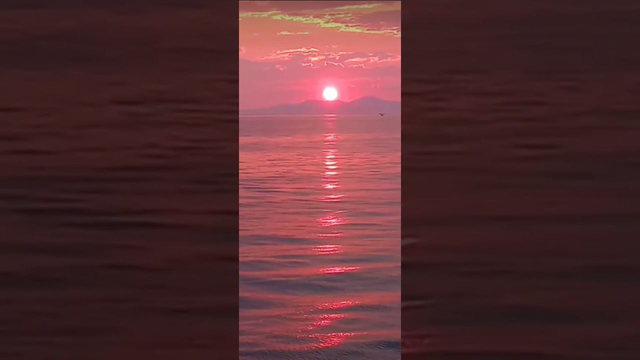 respect 2508240853 #asmr #sunset #sea #travel #jarelik смотреть онлайн
