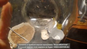 Добываю серебро  из фотоплёнки