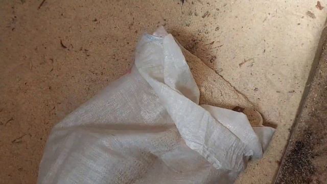 идеальное хозяйство без запаха и мух! яйценоскость кур поражает хоть и линька village life vlog смотреть онлайн