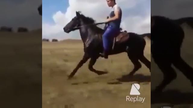 Иноход продаю смотреть онлайн