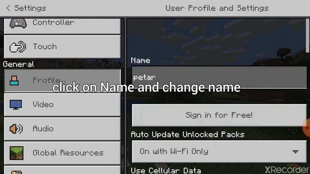 How to change name in Minecraft pe #2020 смотреть онлайн