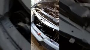 Американки на нексию