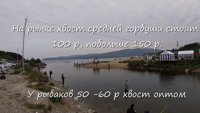 Горбуша пошла. Первые рыбаки на Гертнера на Дукче. Магадан. Рыбалка. 5 июля 2020 смотреть онлайн