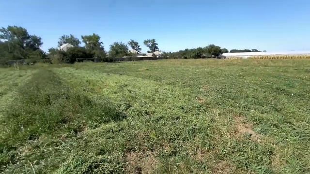 Предел возможностей роторной косилки для мотоблока. Нева с косилкой Заря косит камыш кусты смотреть онлайн