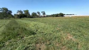 Предел возможностей роторной косилки для мотоблока. Нева с косилкой Заря косит камыш кусты