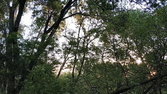 ? УТРО ...а какой сегодня день недели?????? смотреть онлайн