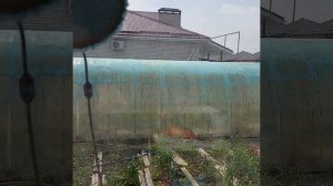 Робот-мойщик окон iBoto win-390