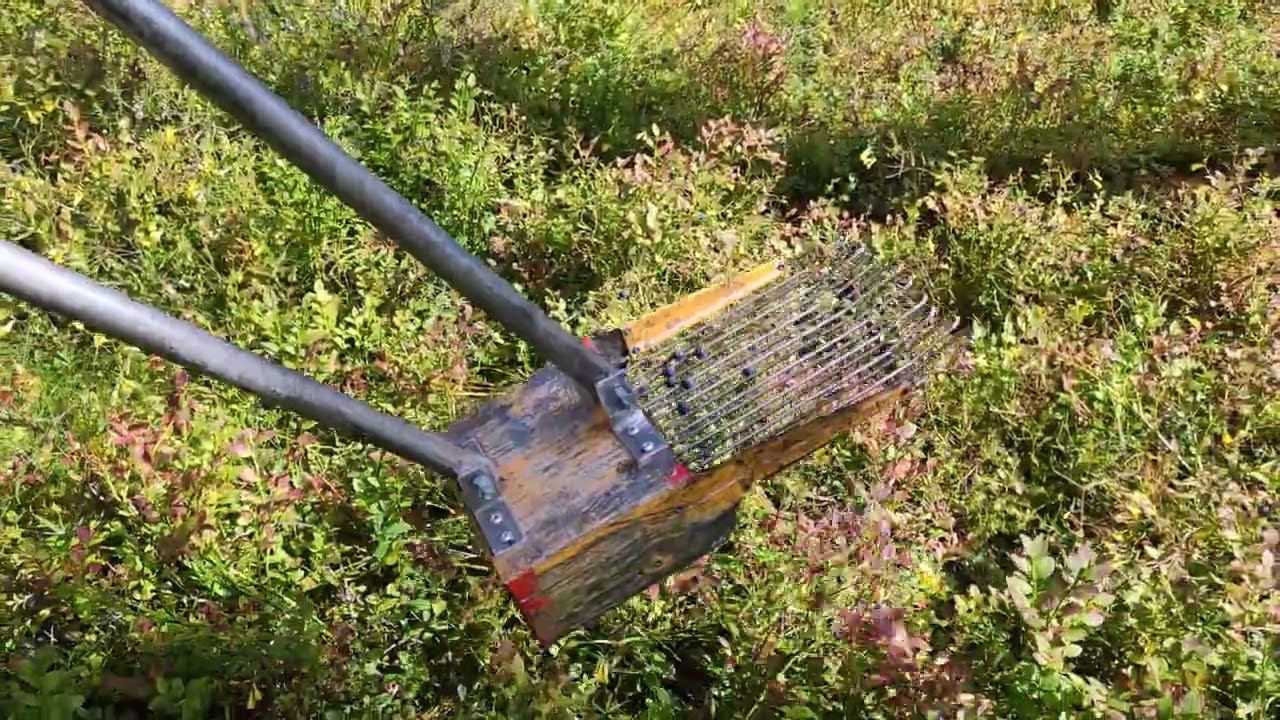 Комбайн для сбора черники "Росомаха" | Часть 5 смотреть онлайн