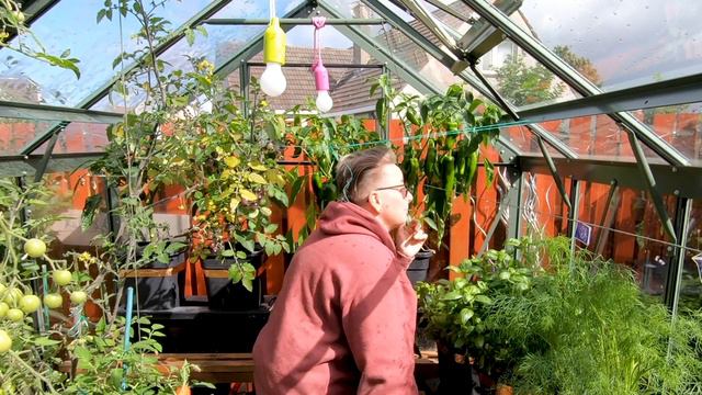 Preparing for Autumn in the Greenhouse \ lock the autovents and get prepared смотреть онлайн
