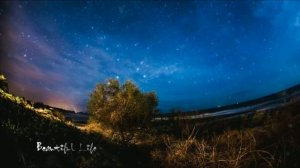 Best of Korg Style - Modern Martina