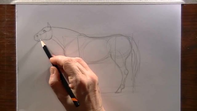 Easy Horse body drawing for beginners смотреть онлайн