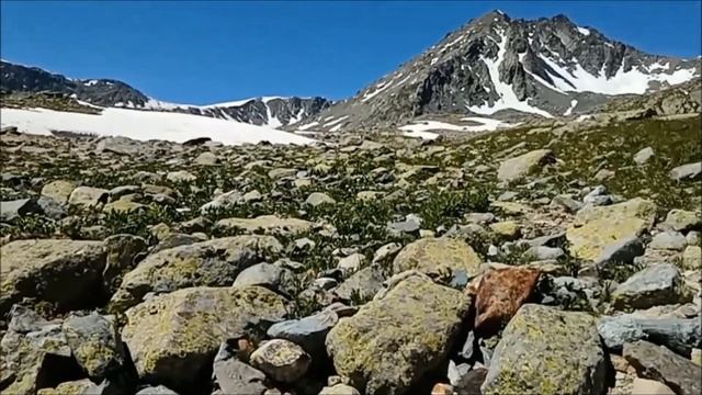 Природа Восточного Казахстана | nature of Kazakhstan | GRIGORIY смотреть онлайн