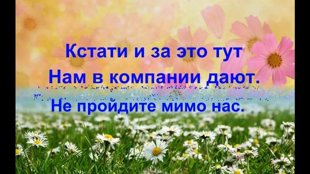 Маркетинг компании Радость в стихах смотреть онлайн