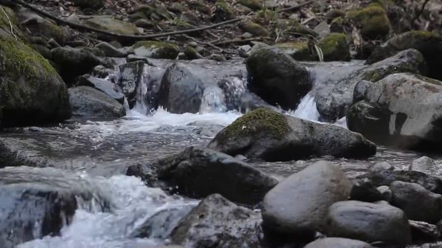 Расслабляющий Шум Горной Реки Пение птиц для Релаксации, Сна и Восстановления Нервной Системы 4К SS смотреть онлайн