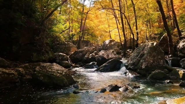 The Chant of Metta ( Pali Chanting / English Narration ) - Loving Kindness 2021 смотреть онлайн