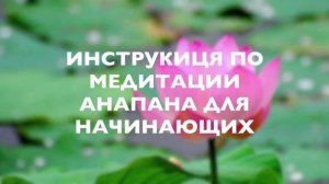 инструкция по медитации анапана для начинающих