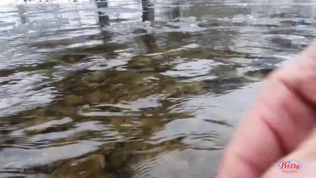 18 січня - Голодна кутя смотреть онлайн