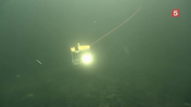 Акватория. «Ведьма»