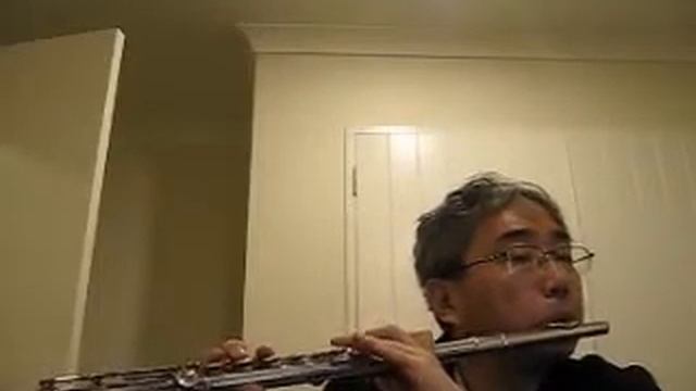 Haydn Symphony No. 95 3rd movement in C minor - Flute by Won Shik Paik смотреть онлайн