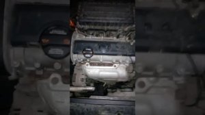 Стук гидрокомпенсаторов Fabia New 1,4 bxw