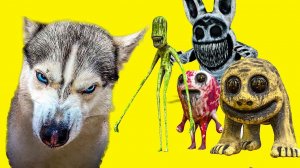 КАК ГРОХНУТЬ ЗООНОМАЛЕЙ ? Полный фильм (Хаски Бандит) Говорящая собака