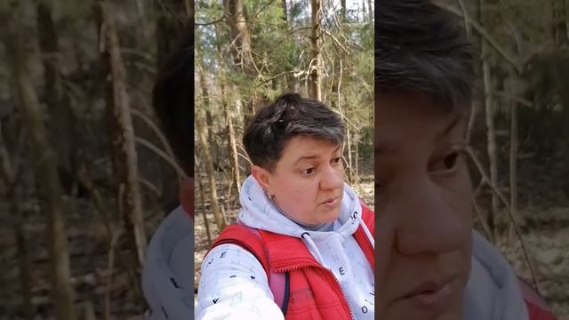 Прогулка длиною в 2 часа смотреть онлайн