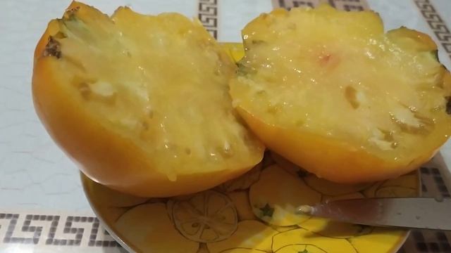 Честный обзор томатов от агрофирмы ВКУСНОТЕКА, ЕВРО-СЕМЕНА и сорта ЯПОНКА из частной коллекции. смотреть онлайн