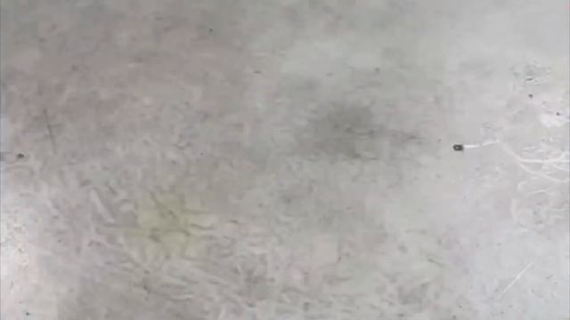  Новичок в обучении компьютерам: всё, что вы хотели знать