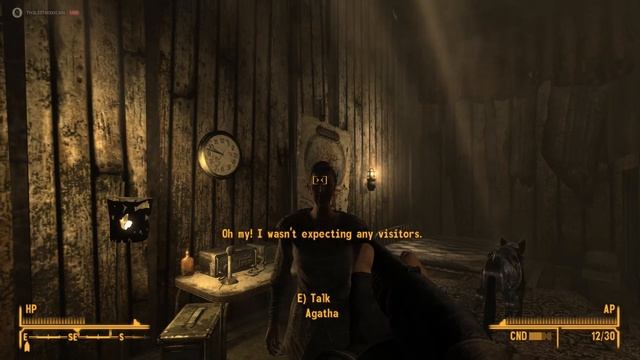 Interview with New Vegas's Voice Actress Ashley McGullam смотреть онлайн