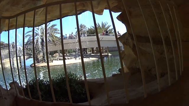 DJERBA Krokodil Farm in Midoun im Djerba Explore Park смотреть онлайн